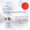 Оформление документов для Египта