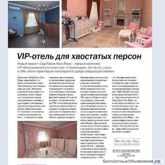 Гостиница для животных в Краснодаре