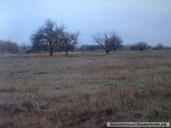 Меняю на авто. Участок площадью 86 соток. Находится в Село Калиновка (Неклиновского рай