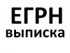 Выписка ЕГРН из Росреестра за 1час