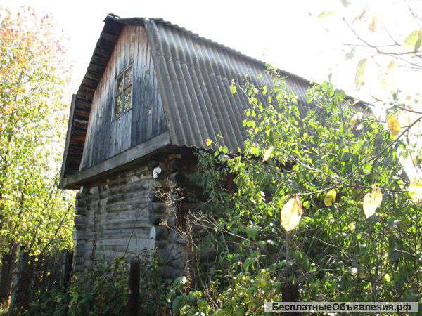 Сад в дудкино