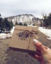 Мумиё/Shilajit