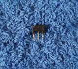 Транзисторы цифровые DTC (DTC SRC 2SC KSR UN UNR) (Список DTC5) NPN редкие оригинальные ДЕМОНТАЖ