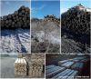 Лес кругляк обрезная доска хвойных пород
