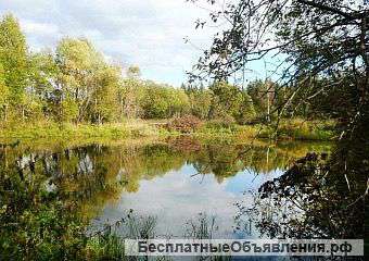 Землю