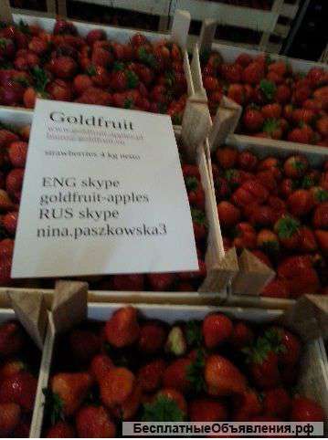 Клубника оптом от производителя.