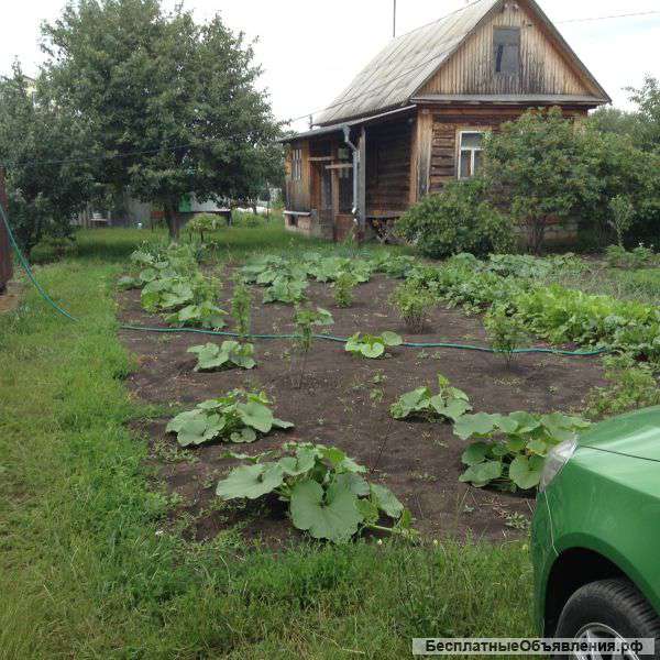 Земельный участок 8,4 сотых в СНТ Рябинушка