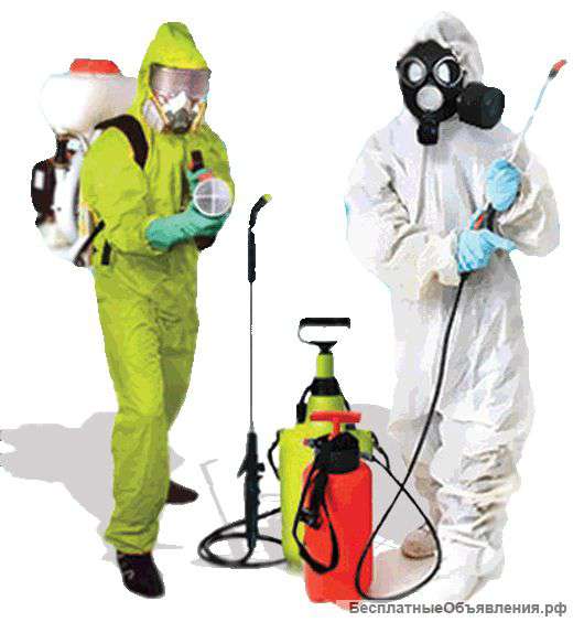Специалист по дезинсекции и дератизации