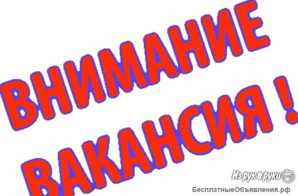 Набираем сотрудников