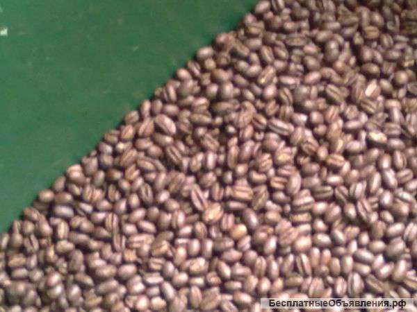 Кофе жареный в зернах