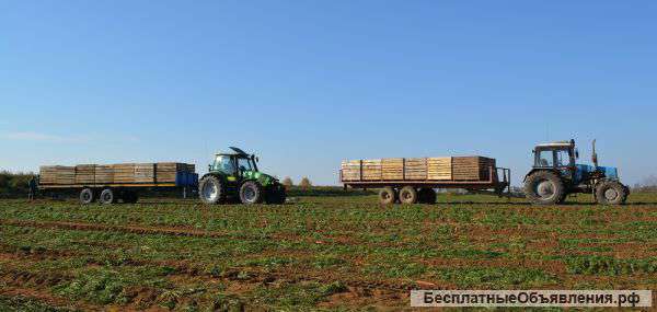 Прицеп тракторный Тонар ПТ7