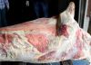 Мясо говядины оптом замороженная и охлажденная от производителя