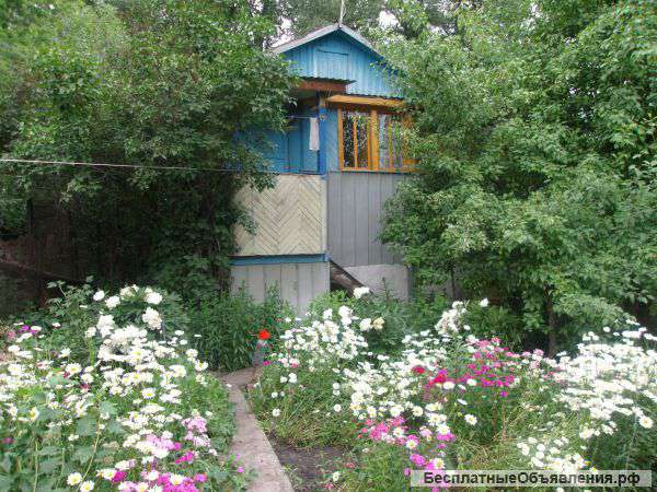 Садовый участок 5,6 соток в дер.Бочкарево с домом