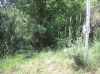 4 сотки Массандра