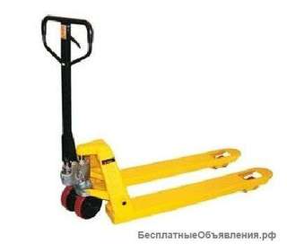 Рохля в аренду