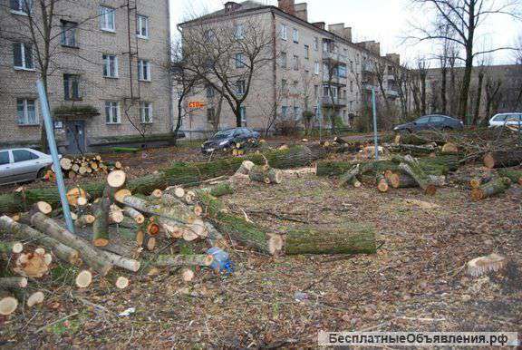 Земляные работы, разнорабочие, вывоз мусора