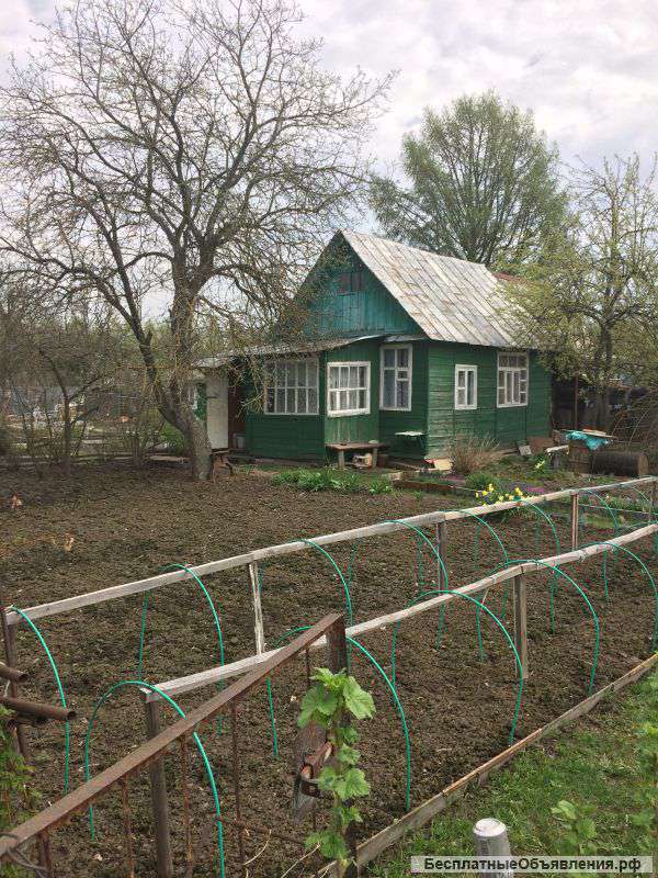 Дача СНТ Василек
