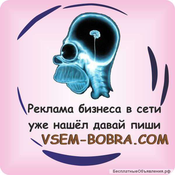 Маркетинговое агенство Vsem Bobra