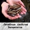 Белемниты (ЧЁРТОВ ПАЛЕЦ)