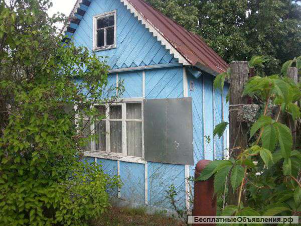 Дачу на острове в Зелёном Бору