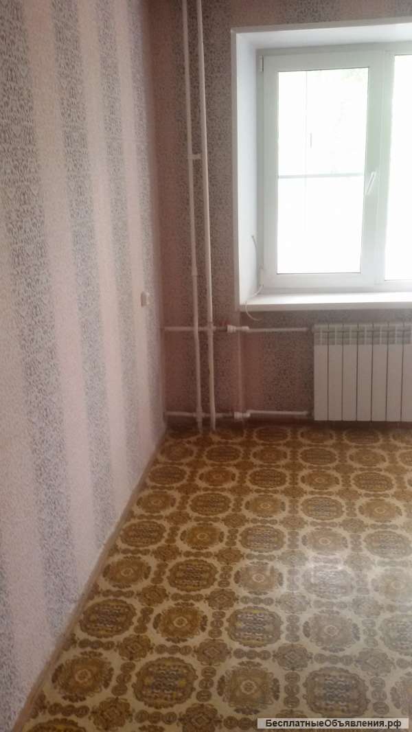 Сдам в аренду