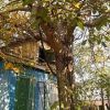 Дом в краснодарском крае с земельным участком на дом с зем уч
