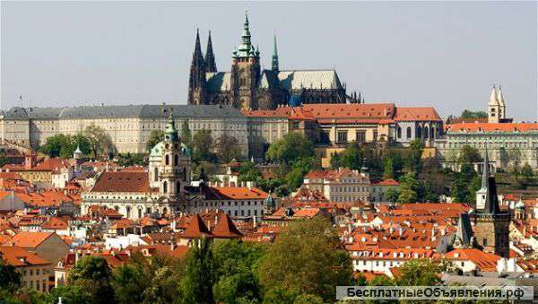 Музыкальное образование в Праге