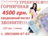 Горничная / уборщица 4500