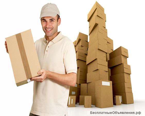 Комплектовщики