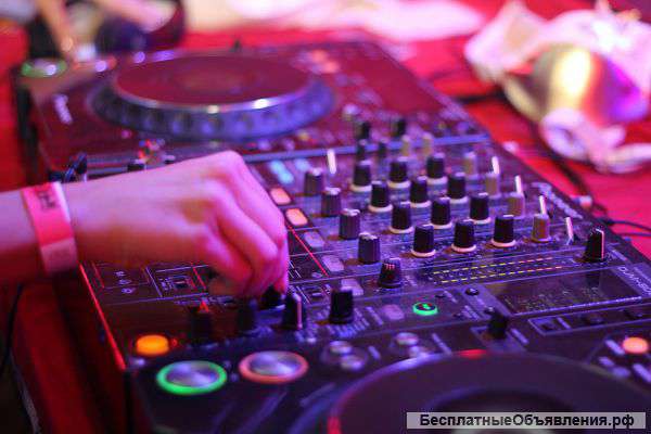 Заказать диджея Белгород