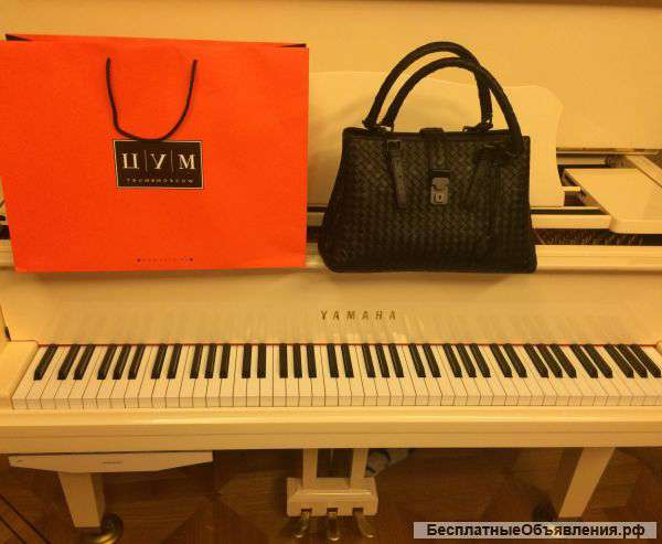 Женская кожаная сумка bottega veneta Small Roma