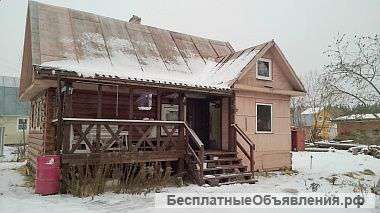 Дачу в чаще