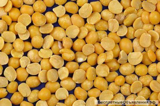 Горох колотый