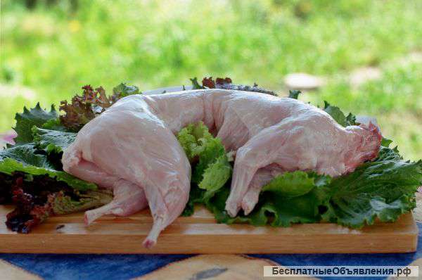 Мясо кролика