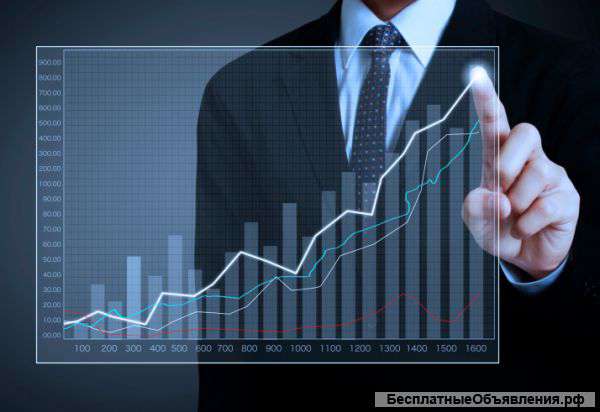 Профессиональные бухгалтерские услуги. Превращаем цифры в отчет.