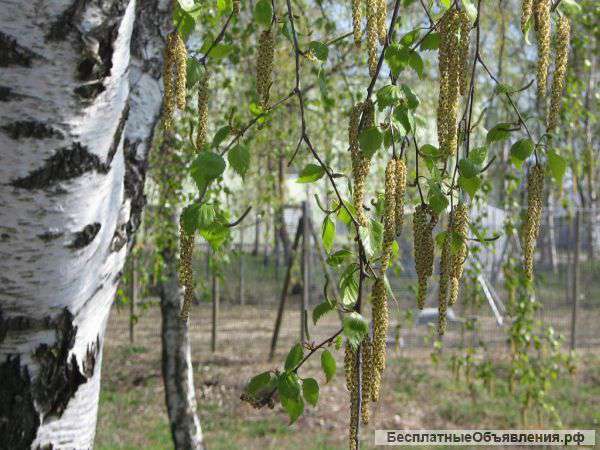 Земельные участки в 10-ти посёлках