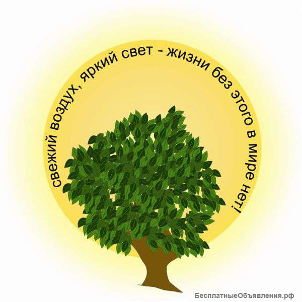 Свежий воздух, тепло, свет.
