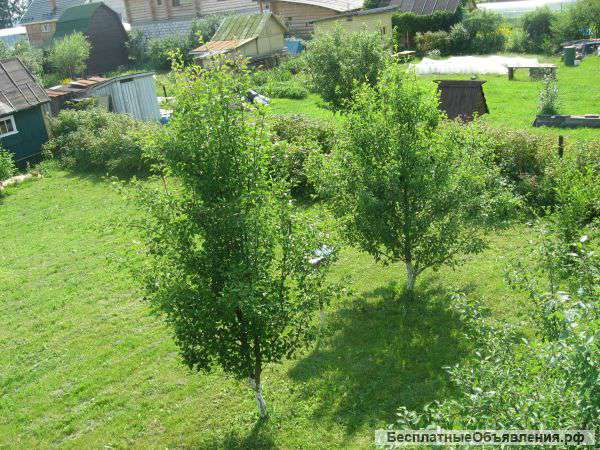 Участок 8 соток