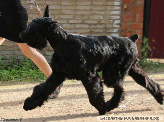 Курсы "Хендлера" в Выборгском районе