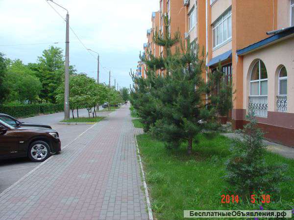 Сдам помещение Крым, г.Евпатория