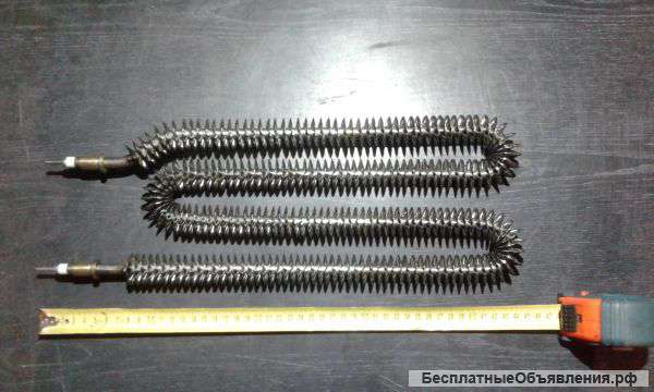 Тэн оребренный Новосибирск