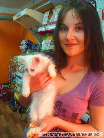 Антицарапки для собак и кошек+бесплатная стрижка когтей