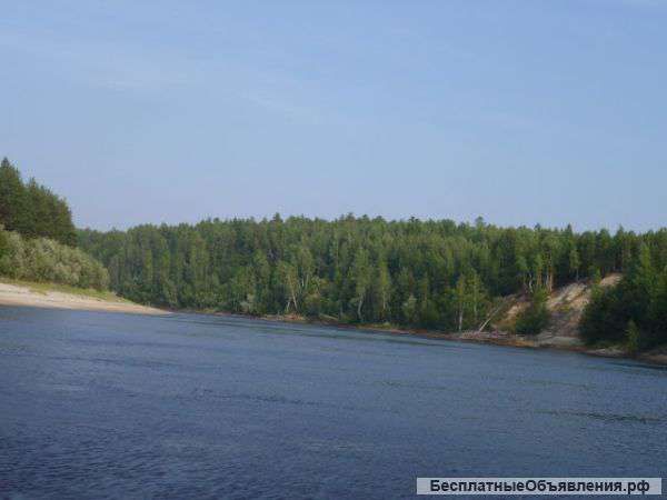 Остров 61 га в Оби