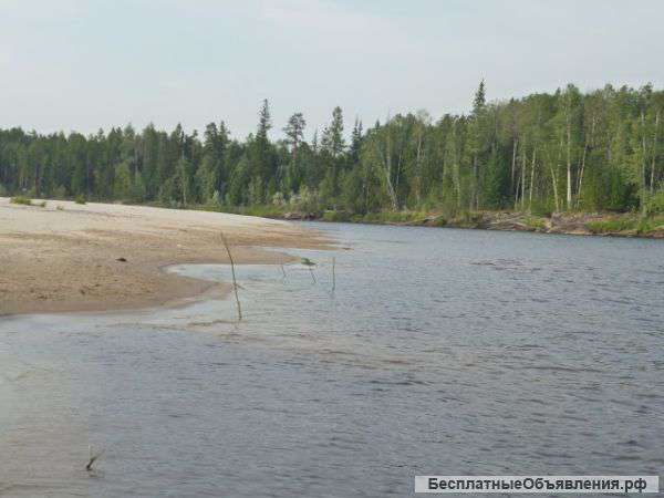 Остров 61 га в Оби