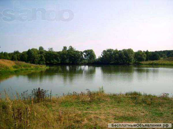 Участок 5 соток