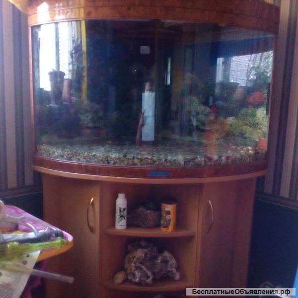 Угловой аквариум 186 литров Jebo