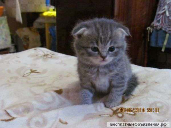 Очаровательные малыши