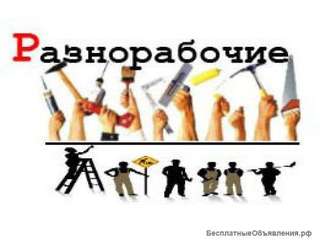 Разнорабочие, Подсобники Любые погрузочные, разгрузочные работы