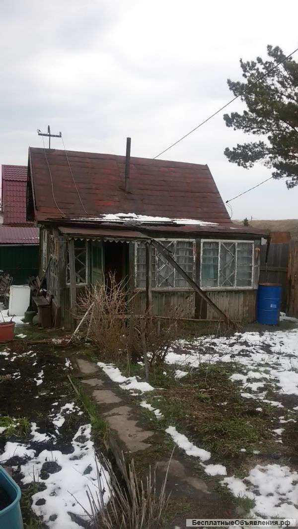 Дачу