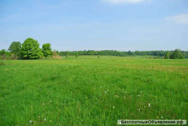 Земельный участок 11 соток ИЖС